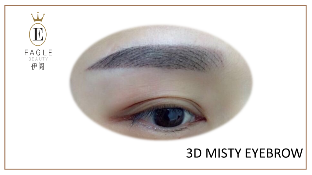 Eyebrow Embroidery 3D Misty Images