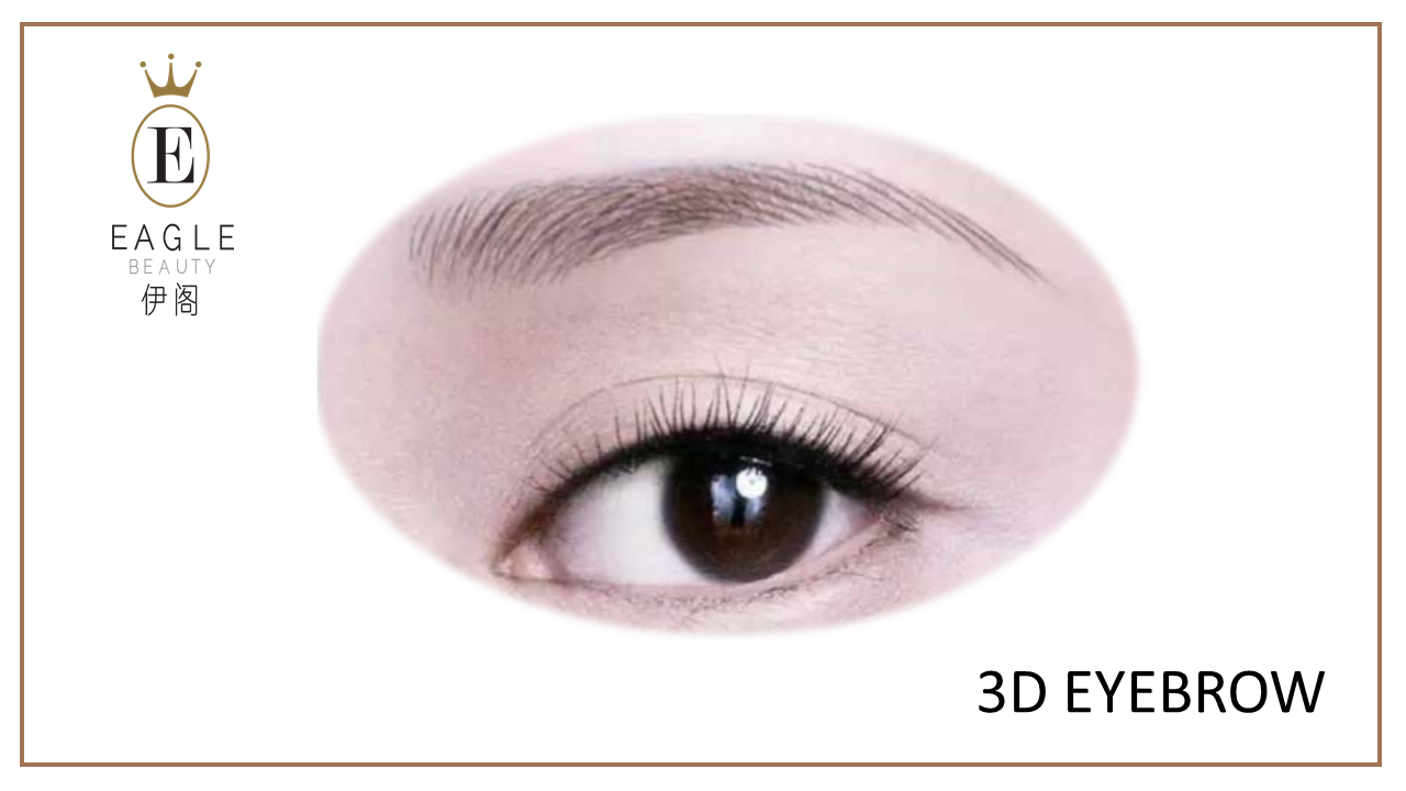 3d eyebrow sample