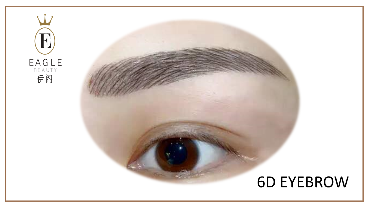 6d eyebrow sample
